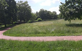 Praha 10 vypsala významnou veřejnou zakázku na zeleň