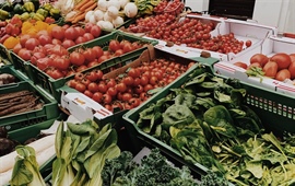 Farmářské trhy na Kubáni budou opět 10. listopadu