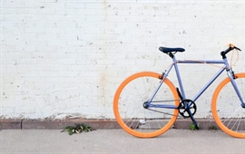 Anketa: Desítkou na kole nebo koloběžce