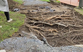 Revitalizace Parku Na Solidaritě zvolena komunálním projektem roku 2023