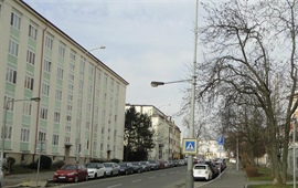 Práce na stromořadí Ruská